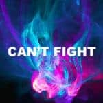Can't Fight