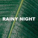 Rainy Night