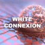 White Connexion