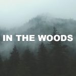 In The Woods