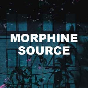 Morphine Source