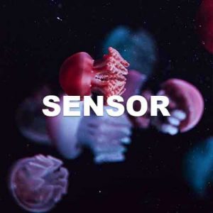 Sensor