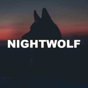Nightwolf