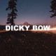 Dicky Bow