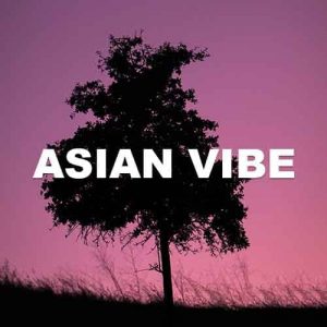Asian Vibe