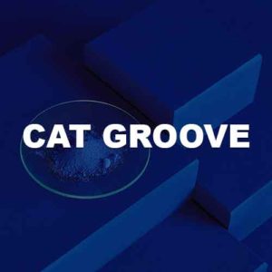 Cat Groove
