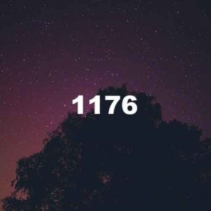 1176