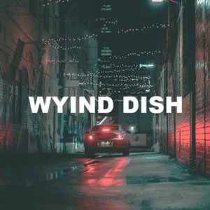 Wying Dish