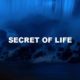 Secret Of Life