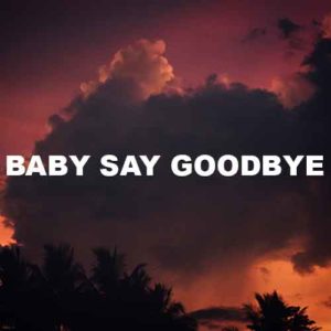 Baby Say Goodbye