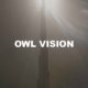 Owl Vision