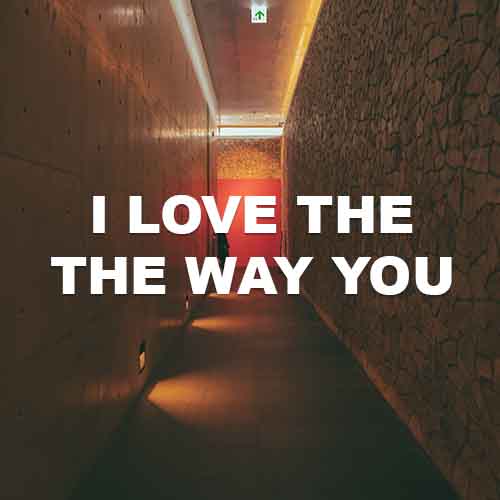 I Love The Way You