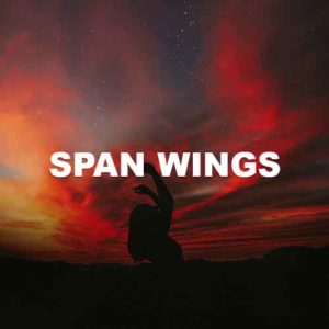 Span Wings