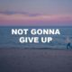 Not Gonna Give Up