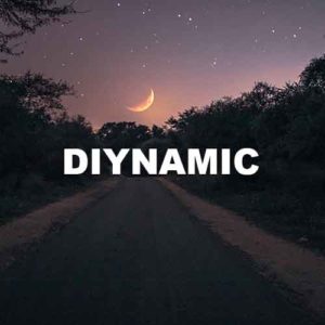 Diynamic