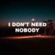 I Don't Need Nobody