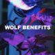 Wolf Benefits