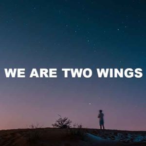 We Are Two Wings