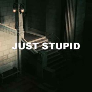 Just Stupid