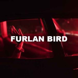 Furlan Bird