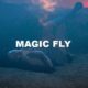 Magic Fly
