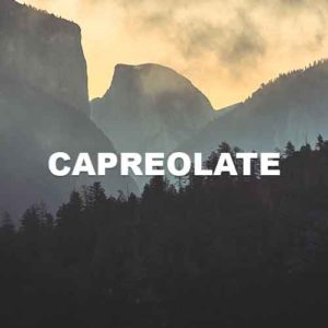 Capreolate