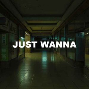 Just Wanna