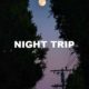 Night Trip
