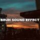 Bruh Sound Effect