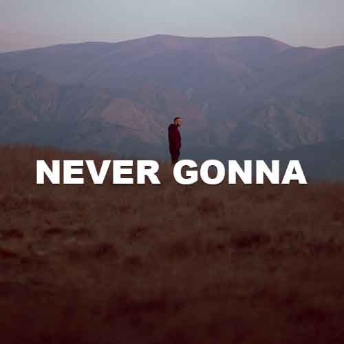 Never Gonna