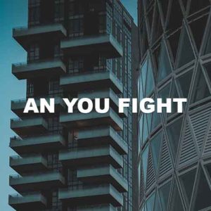 An You Fight