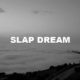 Slap Dream