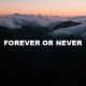 Forever Or Never