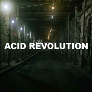 Acid Revolution