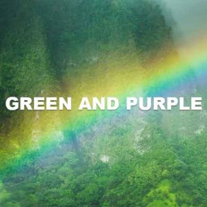 Green And Purple