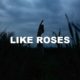Like Roses