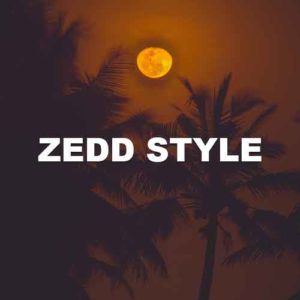 Zedd Style