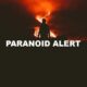 Paranoid Alert
