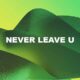Never Leave U