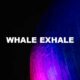 Whale Exhale