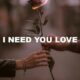 I Need You Love