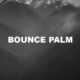 Bounce Palm