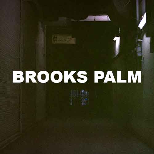 Brooks Palm