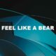 Feel Like A Bear