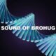 Sound Of Brohug