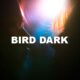 Bird Dark