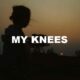 My Knees