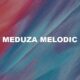Meduza Melodic