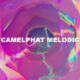 Camelphat Melodic