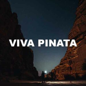 Viva Pinata